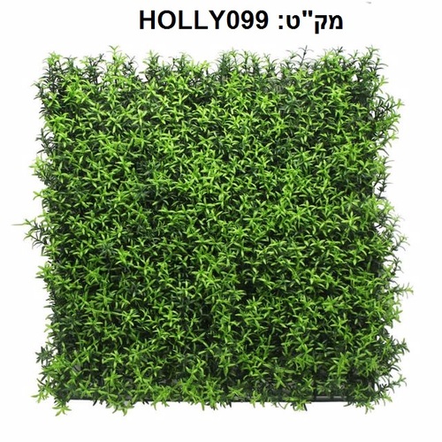 קוקטייל צמחים לעיצוב קירות פנים/חוץ 50X50