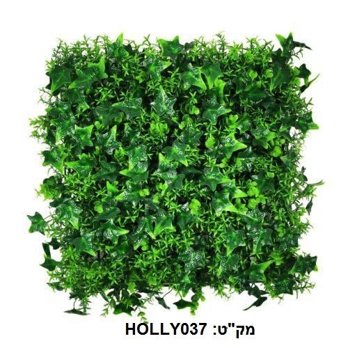 קוקטייל צמחים לעיצוב קירות פנים/חוץ 50X50