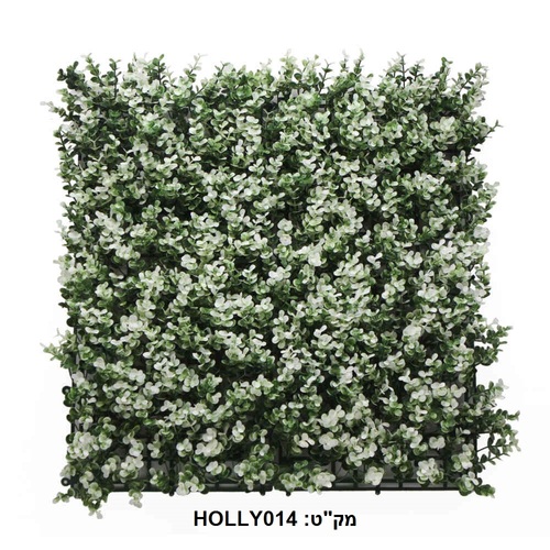קוקטייל צמחים לעיצוב קירות פנים/חוץ 50X50