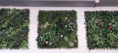 קוקטייל צמחים לעיצוב קירות פנים/חוץ 100X100