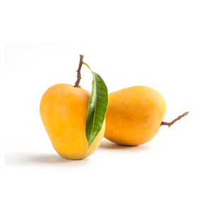מנגו  ק"ג 