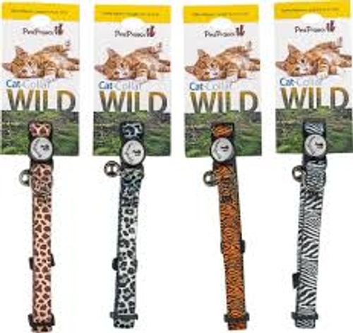 קולר wild לחתול עם פתיחה מהירה