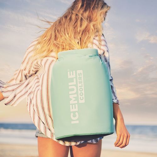 Classic™ Large 20L