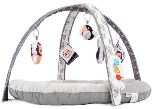 משטח פעילות חיות וחיוכים עם 4 מצבי פעילות וקשת מנגנת ומאירה - בז'