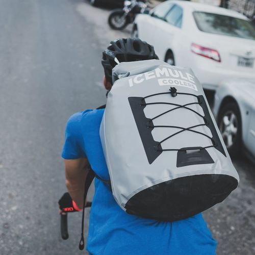 Pro™ Large 23L