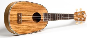 יוקללה Budagov Soprano Zebra-P