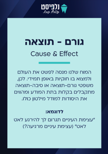 קלפי תרגול NLP - מודל מילטון