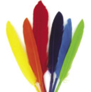 6 נוצות צבעוניות (15 ס"מ)