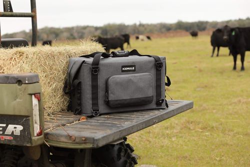 Traveler™ 35L