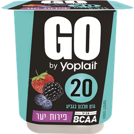 מעדן יופלה GO פירות יער- 200 גר