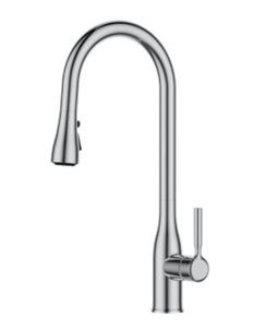 ברז מטבח נשלף 2 מצבי זרימה ניקל מבריק 1025 סיוון אופיר