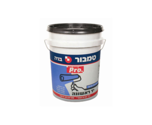 יד ראשונה  טמבור