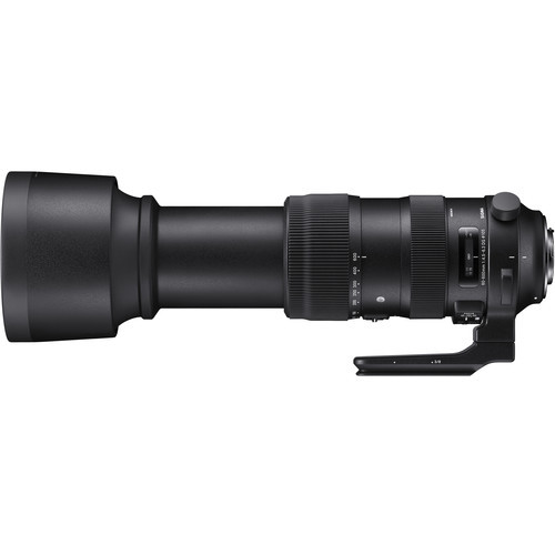 עדשה Sigma 60-600mm f/4.5-6.3 DG OS HSM Sports למצלמות Leica L-Mount