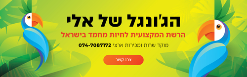מזון וציוד לבעלי חיים