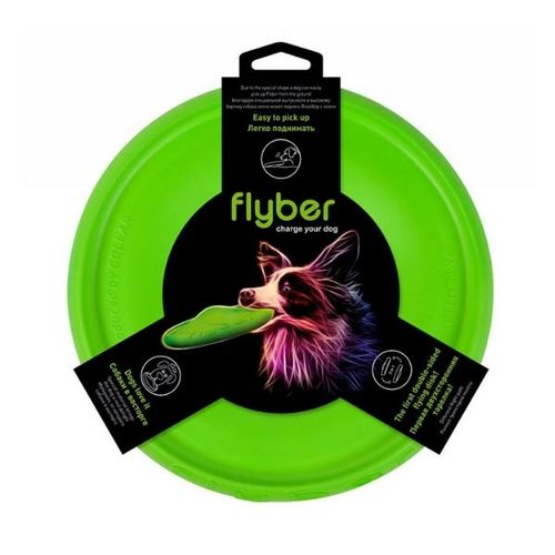 פריסבי פלייבר פטנט Flyber