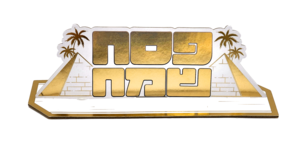 מרכז שולחן גדול דגם