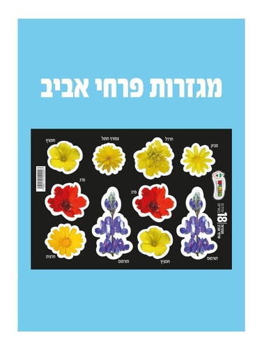 מגזרות פרחי אביב