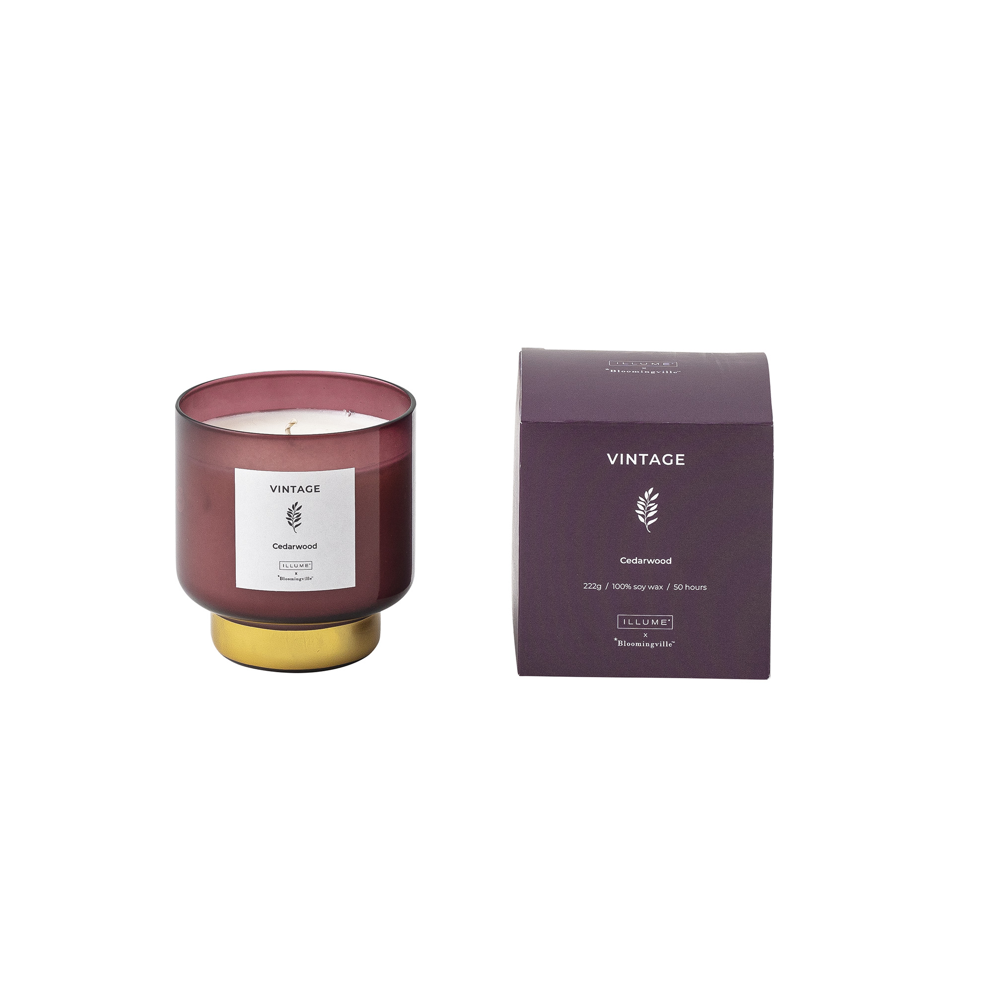נר ריחני Vintage - עץ ארז Cedarwood