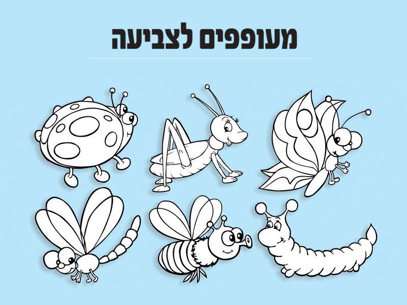 מעופפים לצביעה