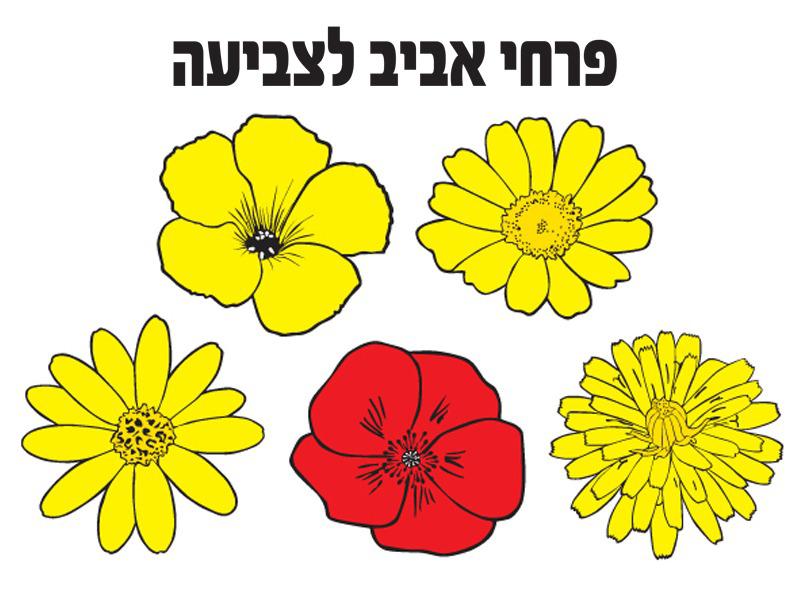 פרחי אביב 