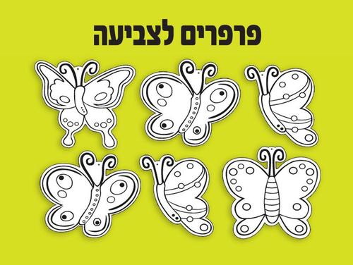 פרפרים לצביעה