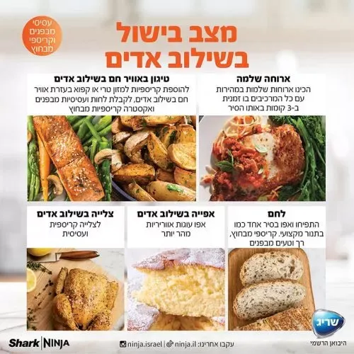 נינג’ה סמארט-ליד 17 ב- 1 SMART LID דגם OL753