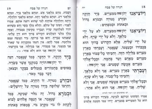 הגדה של פסח מרהיבה (L)- הבלטות מוזהבות