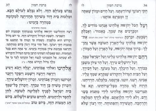 הגדה של פסח מרהיבה (L)- הבלטות מוזהבות