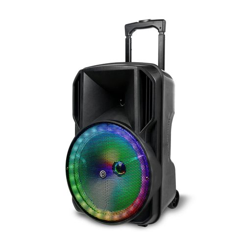בידורית קריוקי Pure Acoustics ZX200