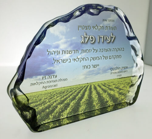 מגן הוקרה אייסברג