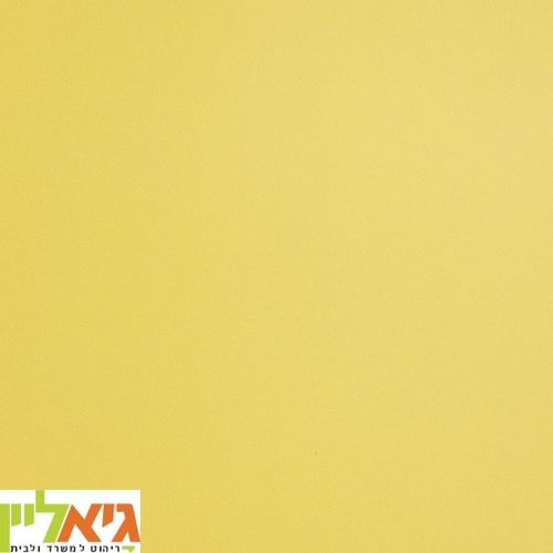 סוליד 2290
