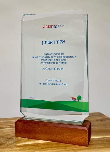 מגן הוקרה רייזור