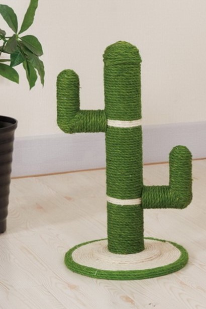 מתקן גירוד לחתול CACTUS גובה 50 ס"מ *30*30