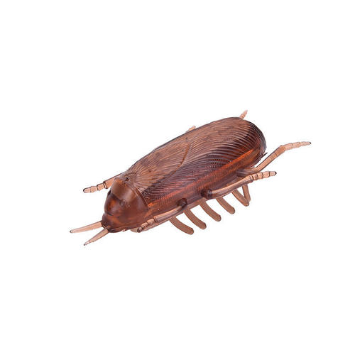 משחק תיקן רץ לחתול