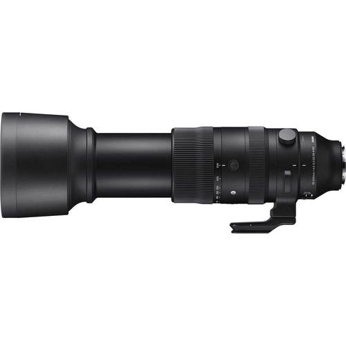Sigma 60-600mm f/4.5-6.3 DG DN OS Sports לסוני רשמי