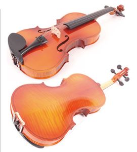 כינור 1/10 קומפלט עם ארגז וקשת  LE MANS VB-290-1/10 F. BACK