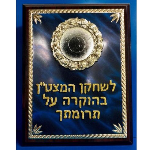 מסגרת F-100