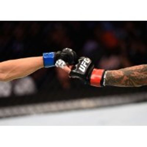 כפפות הקרב הרשמיות UFC