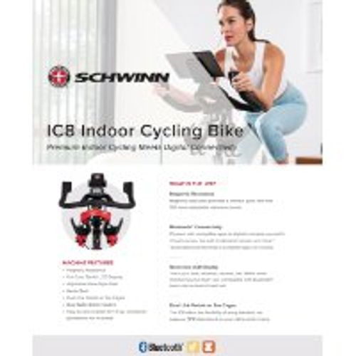 Schwinn IC8