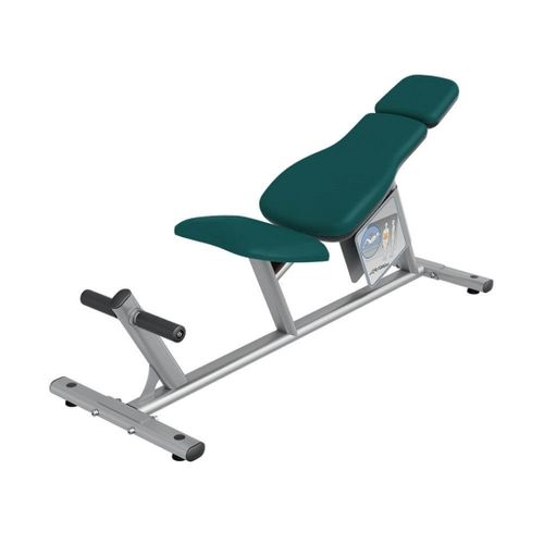 AB Curl Bench
