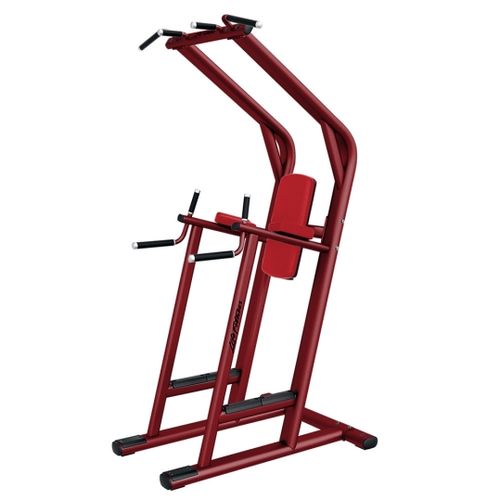 Hammer Strength Chin / Dip / Leg Raise