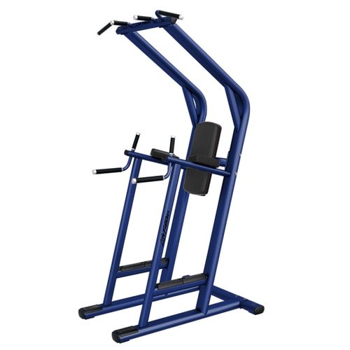 Signature Chin Dip Leg Raise