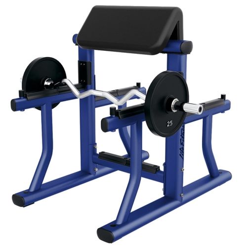 Signature Arm Curl Bench
