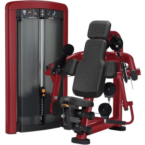 Insignia Series Biceps Curl - LX edition