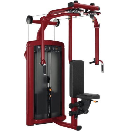 Insignia Series Fly/Rear Delt - LX edition