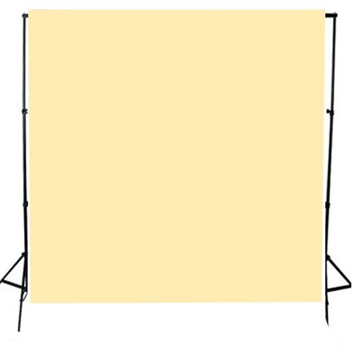 רקע נייר 2.72X11 מטר 65 שמפניה 
