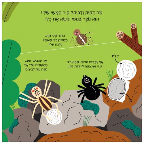 עולם קטן ירוק שלי: עכביש – ספר קרטון