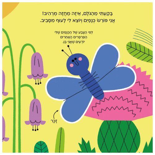 עולם קטן ירוק שלי: פרפר – ספר קרטון