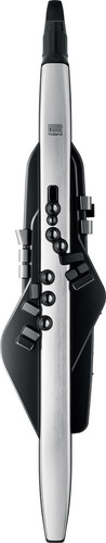 זוית נוספת Roland Aerophone Pro | Digital Wind Instrument
