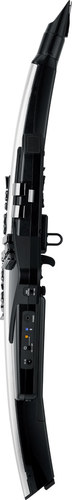 זוית נוספת Roland Aerophone Pro | Digital Wind Instrument